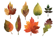 Watercolor autumn leaves, an Illustration by lenlis (Thumbnail 2 of 5)