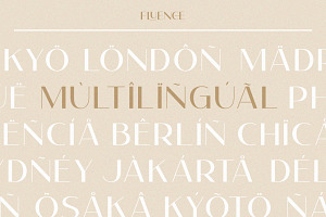 Fluence Elegant Modern Sans Font