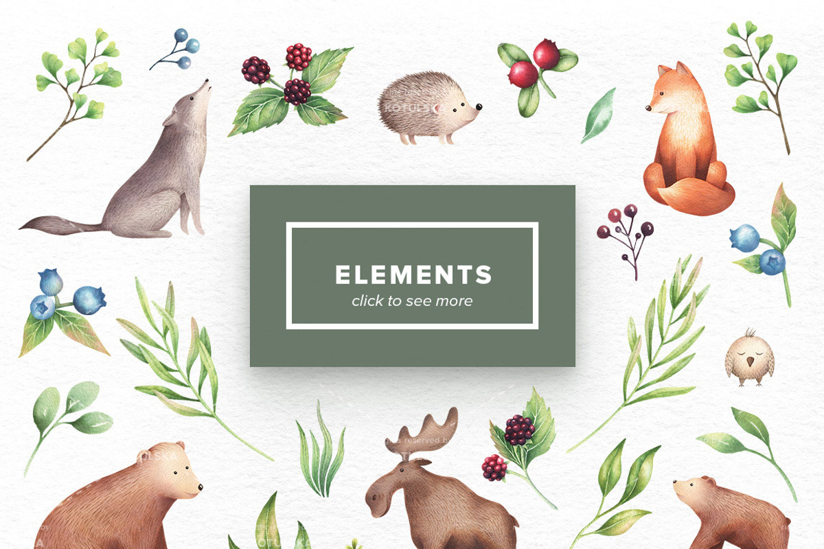 Watercolor Forest Animals Set, an Object Graphic by Kotulska (Photo 2 of 6)