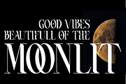 ROASTER - Absonstype, a Serif Font by Absonstype (Thumbnail 4 of 11)