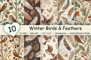 Winter Birds Feathers Digital Paper