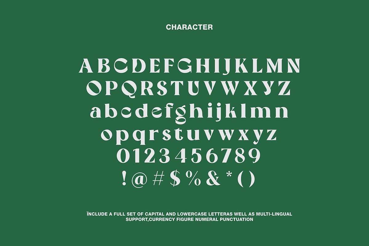 Yowa typeface, a Serif Font by Rvq Type Foundry (Photo 3 of 4)