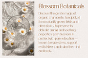 Coraline Sans Serif, a Sans Serif Font by Prestige Artsy Studio (Thumbnail 5 of 9)