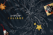 Winter Foliage collection, a Decorative Illustration by Merfin (Thumbnail 1 of 14)