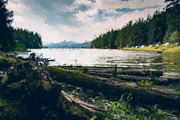 Real Paint FX - Painted Photo Effect, a Plug-in Add-On by Giallo (Thumbnail 5 of 10)