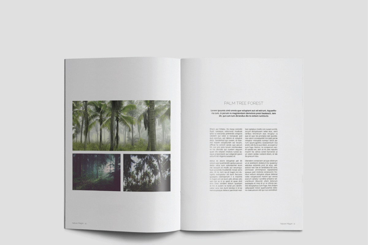 Nature Magazine, a Magazine Template by Alhaytar (Photo 6 of 15)