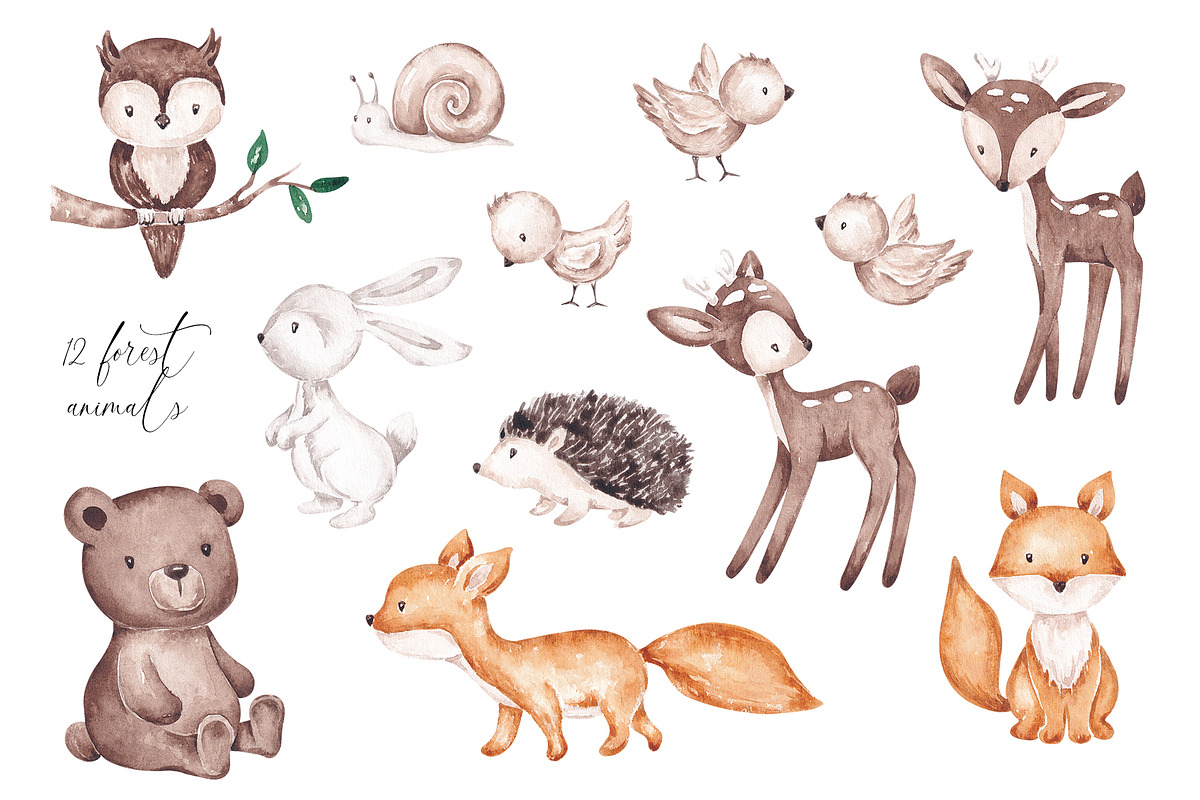 Woodland animals clip art, an Animal Illustration by SirenaArt (Photo 3 of 11)