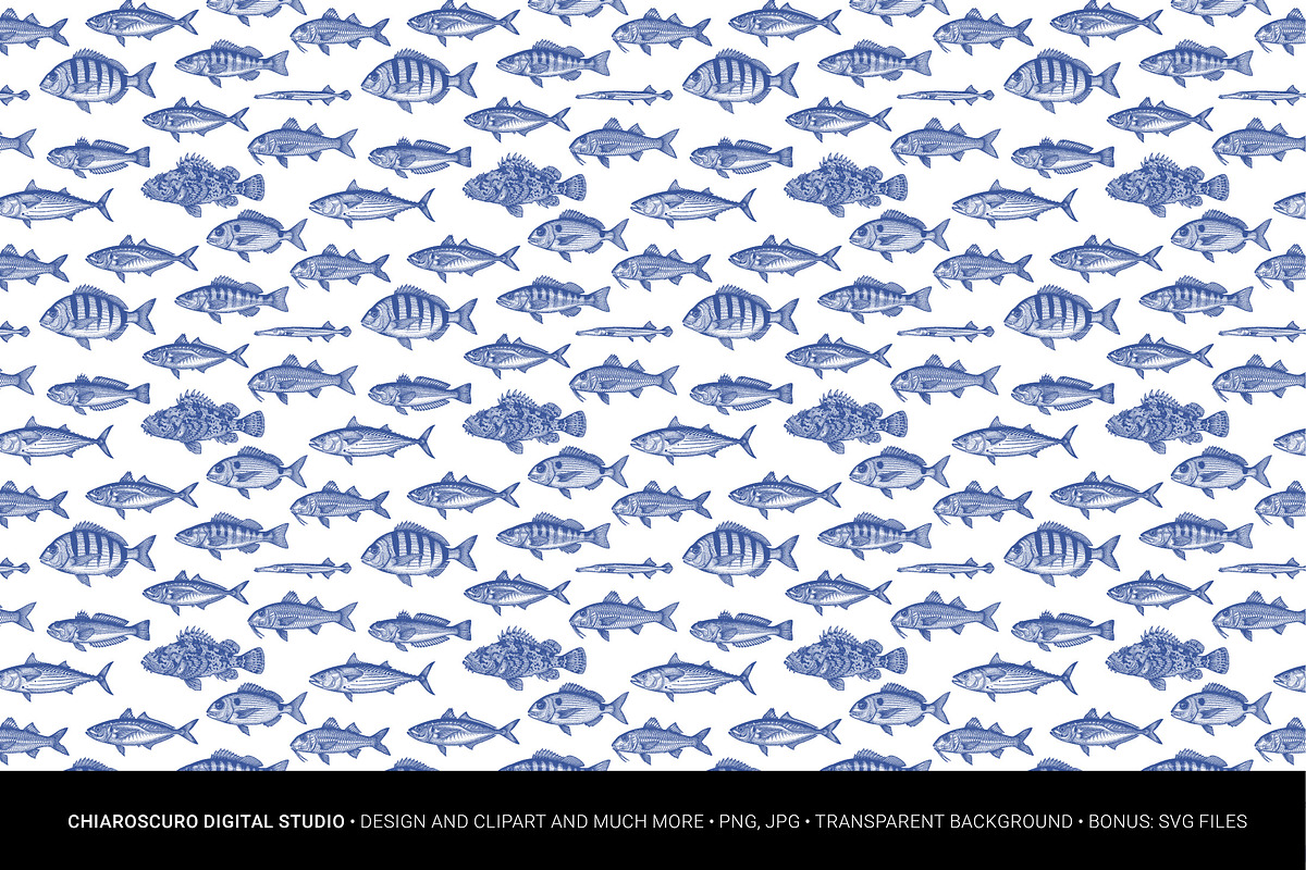 Mediterranean Sea Vector Clipart Set, an Animal Illustration by Pingebat (Photo 9 of 15)