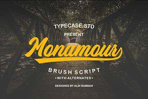 Monamour Brush Script