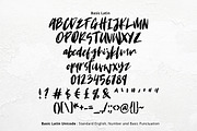 Krakatoa Brush Font, a Script Font by YandiDesigns (Thumbnail 2 of 4)