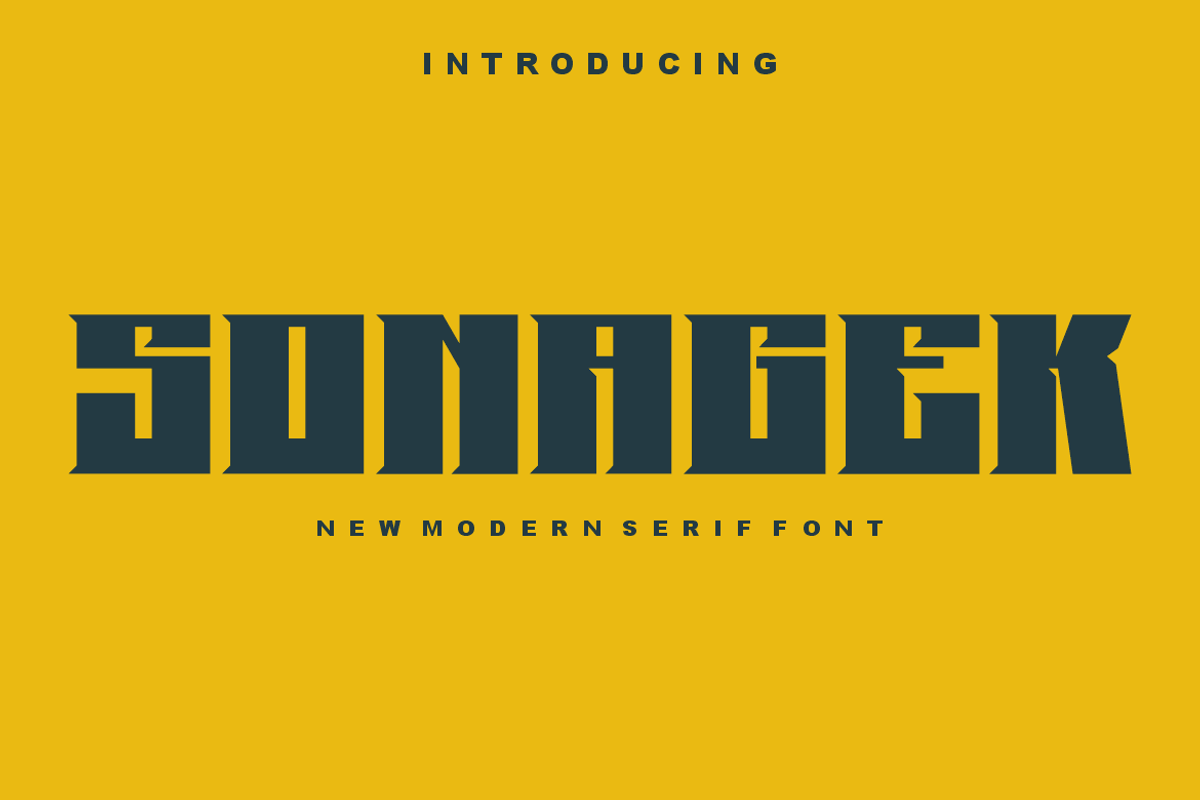 Sonagek - Font, a Serif Font by artchiles_design (Photo 1 of 5)