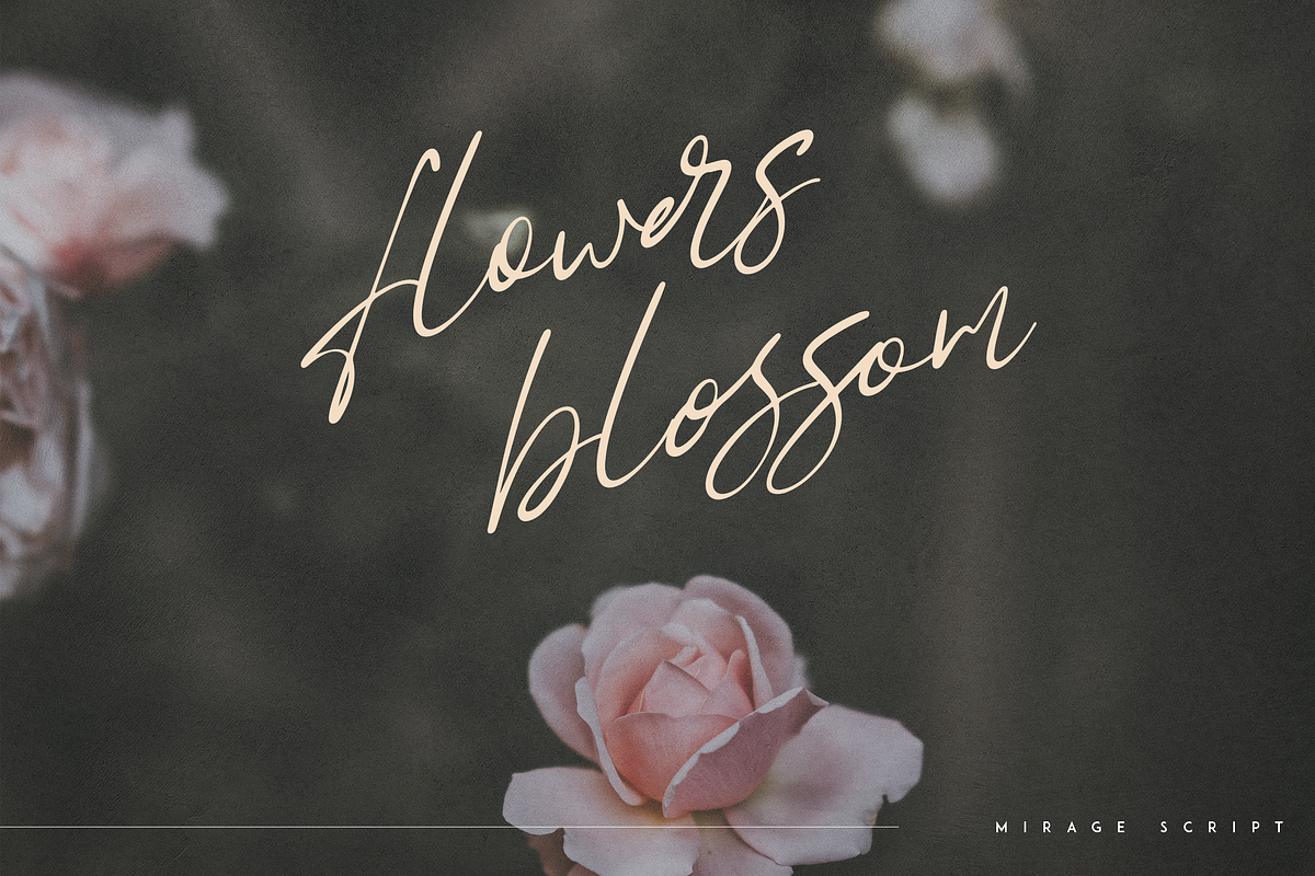 SALE! Font Bundle vol.4 - 10 scripts, a Script Font by Only Fonts (Photo 6 of 33)