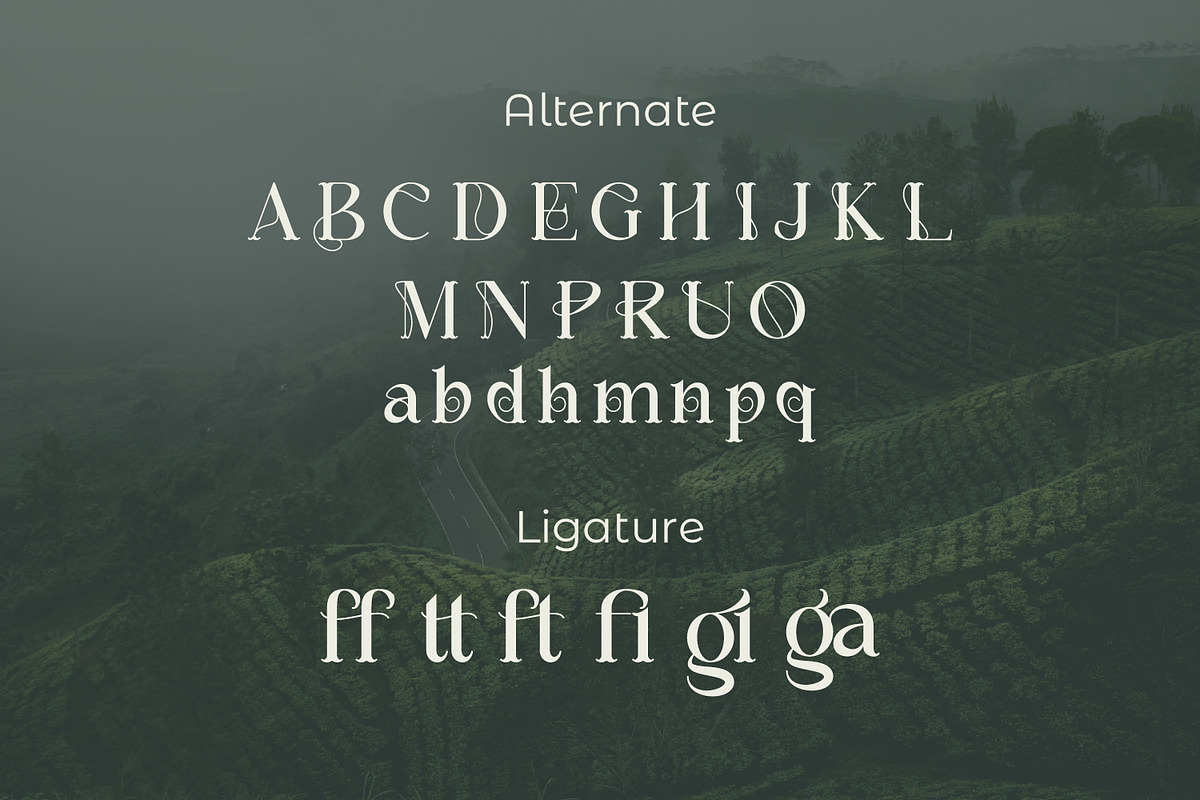 Megarow, a Serif Font by Rishsketch (Photo 10 of 13)