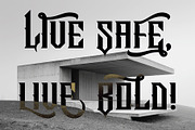 Shelter Vintage Label Font, a Serif Font by JumboDesign (Thumbnail 6 of 6)