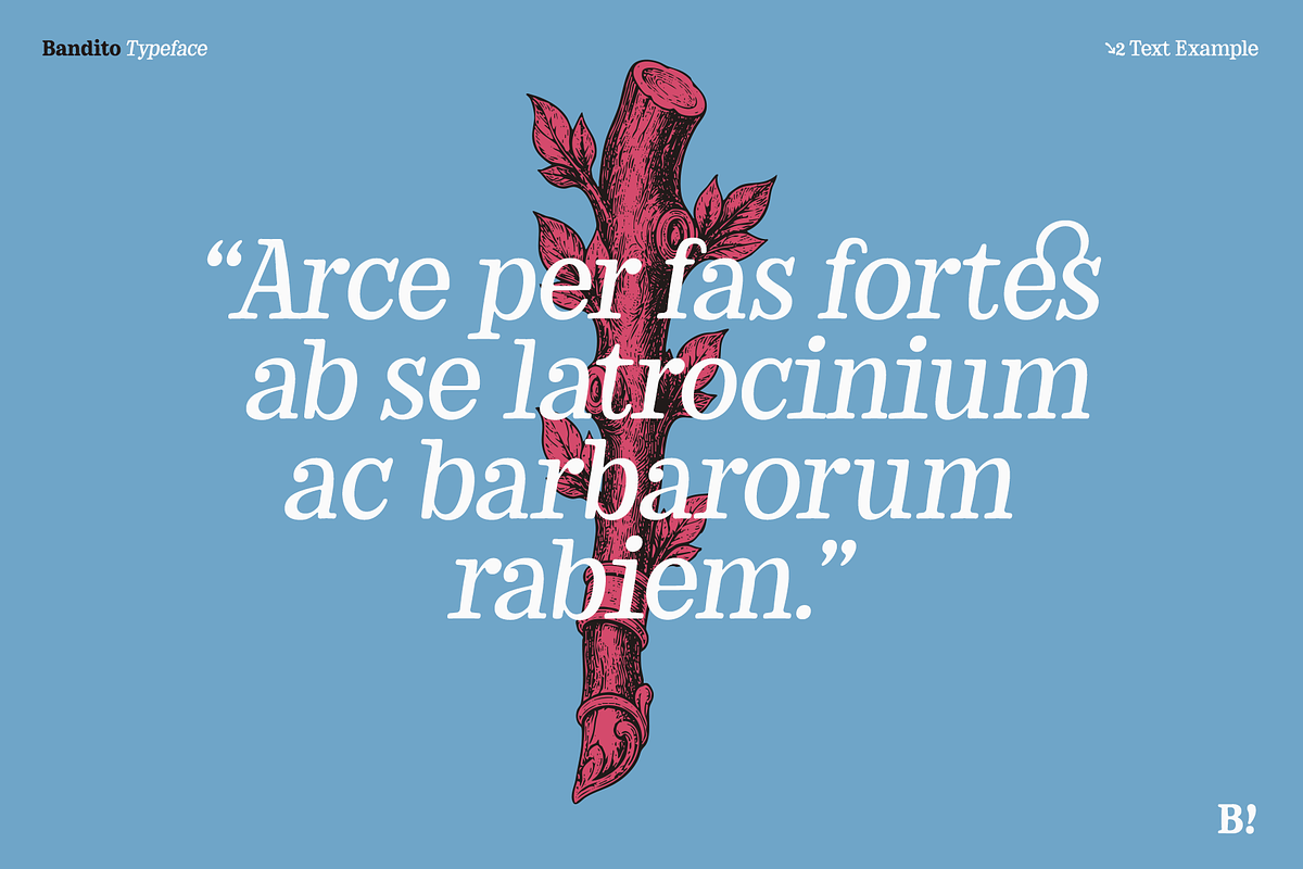 Bandito - Rounded Variable Serif, a Serif Font by Unio Designs (Photo 2 of 15)