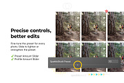 20 Vintage Nature Lightroom Presets, a Preset Add-On by SparkleStock (Thumbnail 2 of 17)
