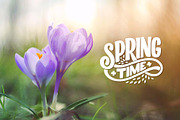 Spring Lettering Quotes, a Decorative Illustration by Artlana (Thumbnail 4 of 4)