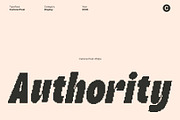 Carlone Pixel, a Sans Serif Font by Craft Supply Co. (Thumbnail 2 of 8)
