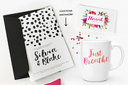 Stylish Brush with Bonus, a Handwritten Font by Nicky Laatz (Thumbnail 4 of 5)