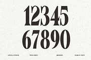 Nimuhinz, a Serif Font by AnayaStudio (Thumbnail 5 of 8)