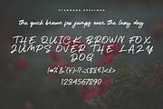 Marstina Handwritten Font, a Handwritten Font by Basnistudio (Thumbnail 8 of 14)