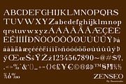 ZENSEO Clasic Serif Font, a Serif Font by Basnistudio (Thumbnail 6 of 6)