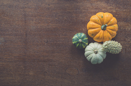Pumpkin Composition