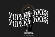 Robertson Display, a Sans Serif Font by Damelev (Thumbnail 5 of 10)