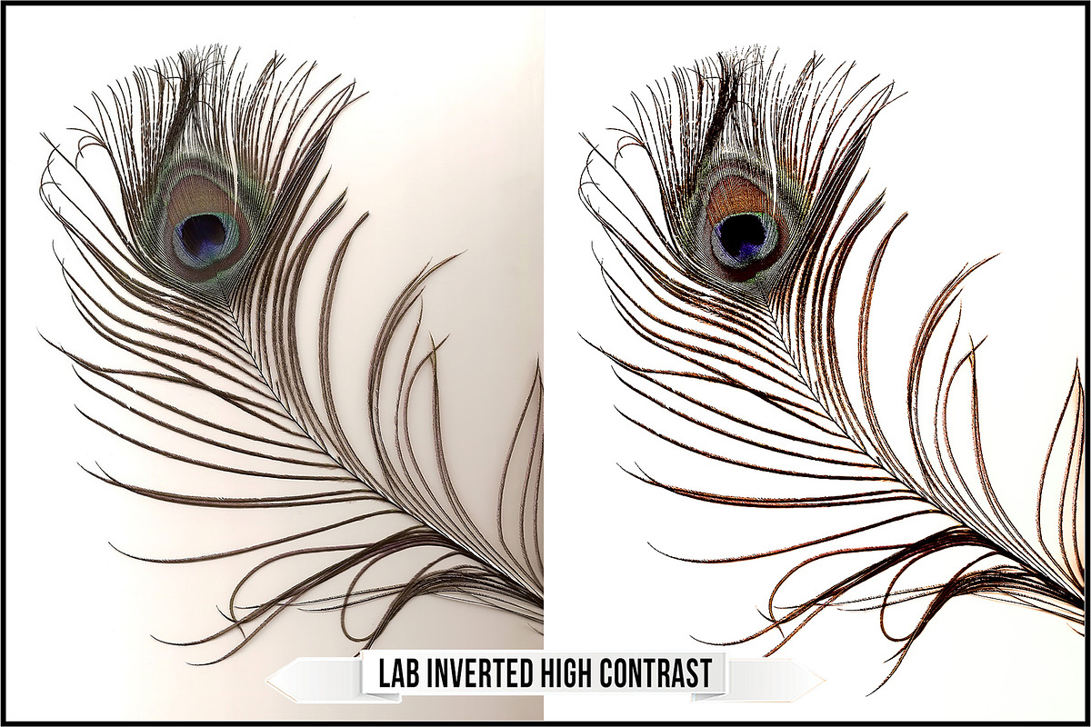 LAB Color Vol. 1 - Inverted Blend, a Plug-in Add-On by Raztrend (Photo 12 of 30)