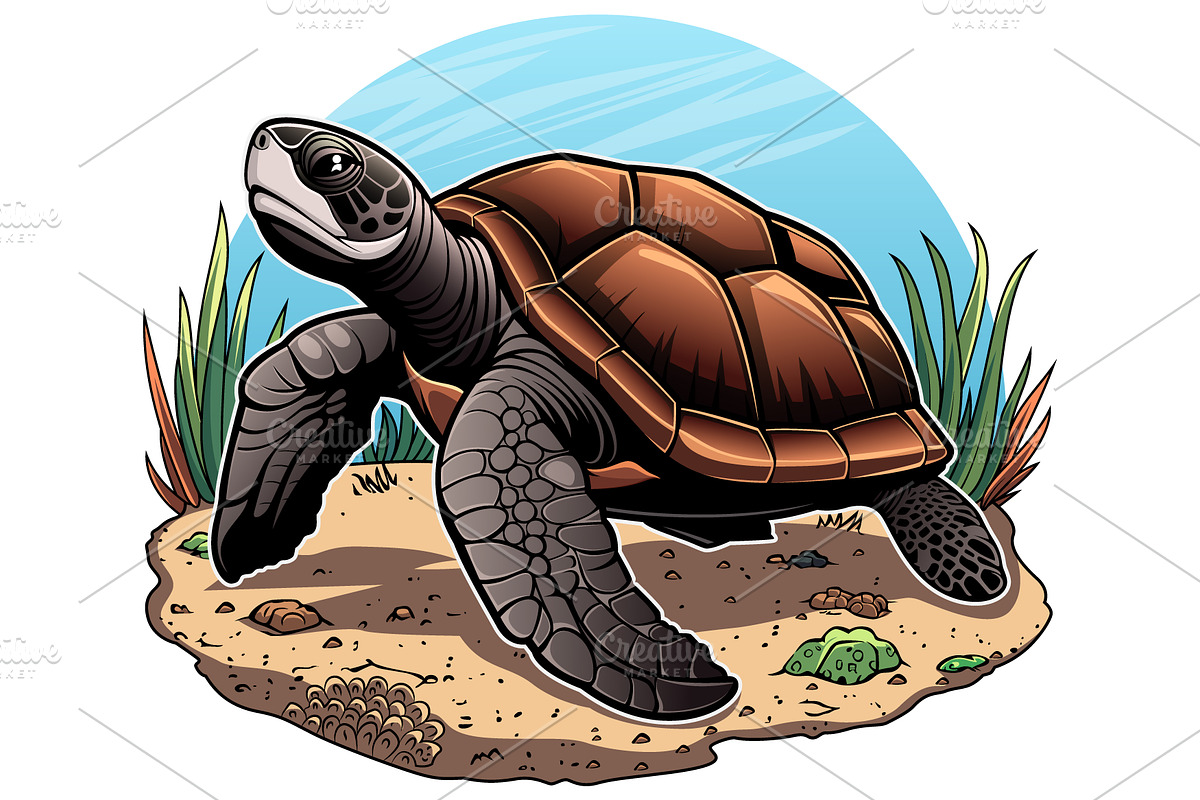 Peaceful Sea Turtle Vector Art, an Animal Illustration by Ghagra (Photo 2 of 3)