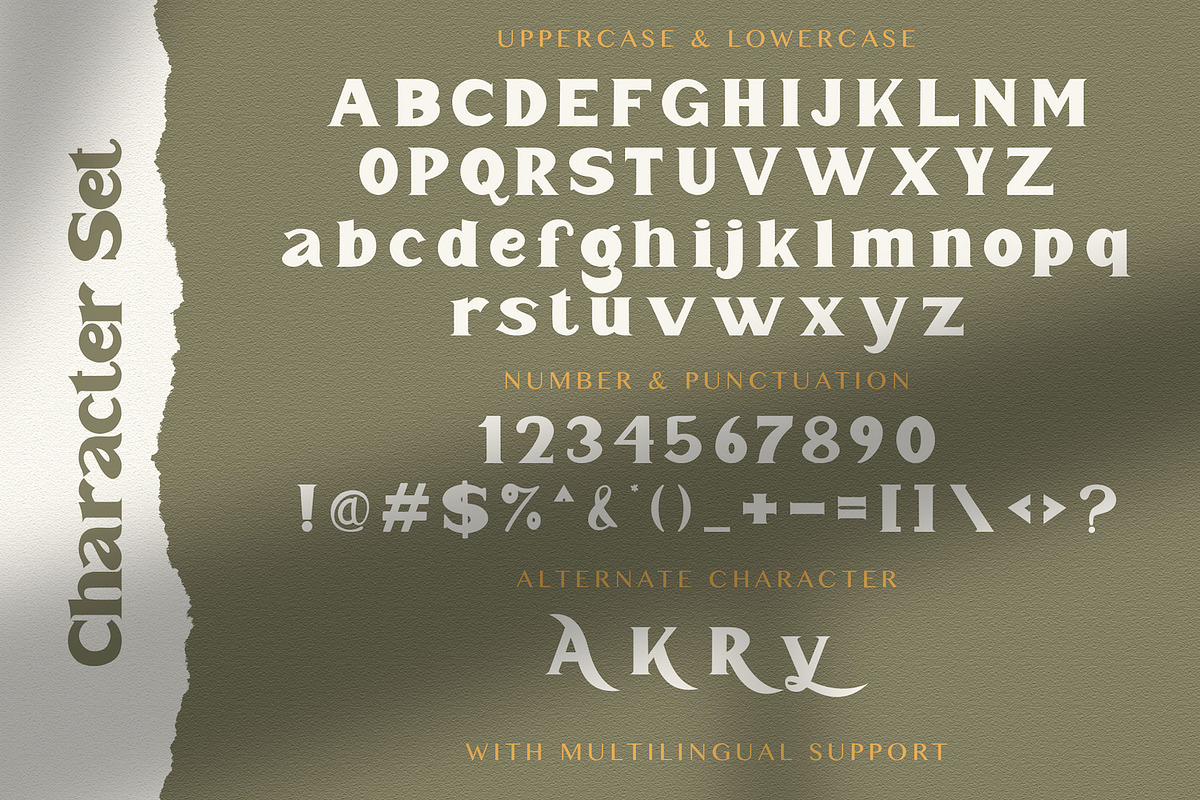 Mister Saefudin - Elegant Serif Font, a Serif Font by StringLabs (Photo 12 of 13)