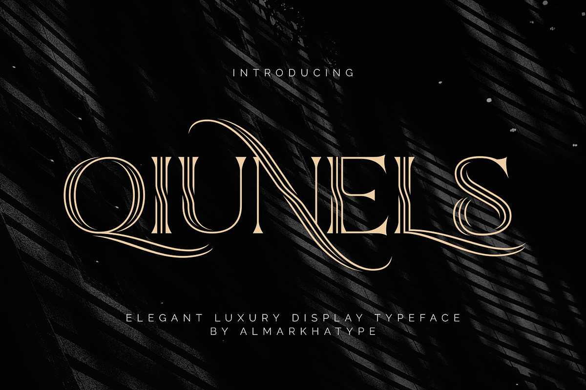 Qiunels - Elegant Luxury Serif, a Serif Font by Almarkhatype (Photo 1 of 10)