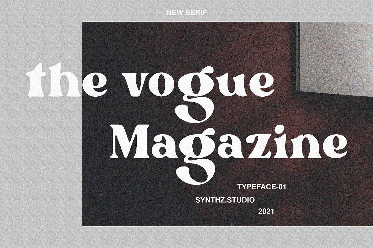 Gustafsson, a Serif Font by Portion.Labs (Photo 3 of 11)