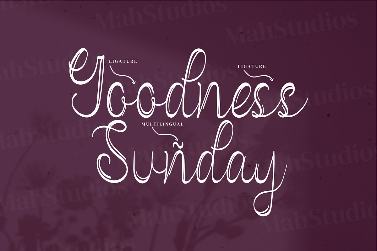 Vanadoora Script Fonts, a Script Font by mahstudios (Photo 12 of 15)