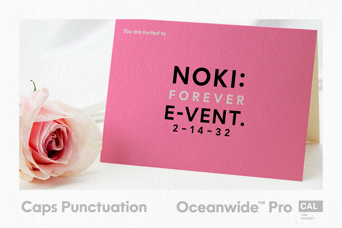 Oceanwide Pro Family, a Sans Serif Font by California Type Foundry (Photo 12 of 13)