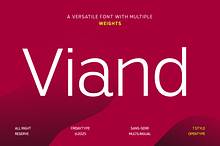 Viand — A Versatile Sans with Flavor