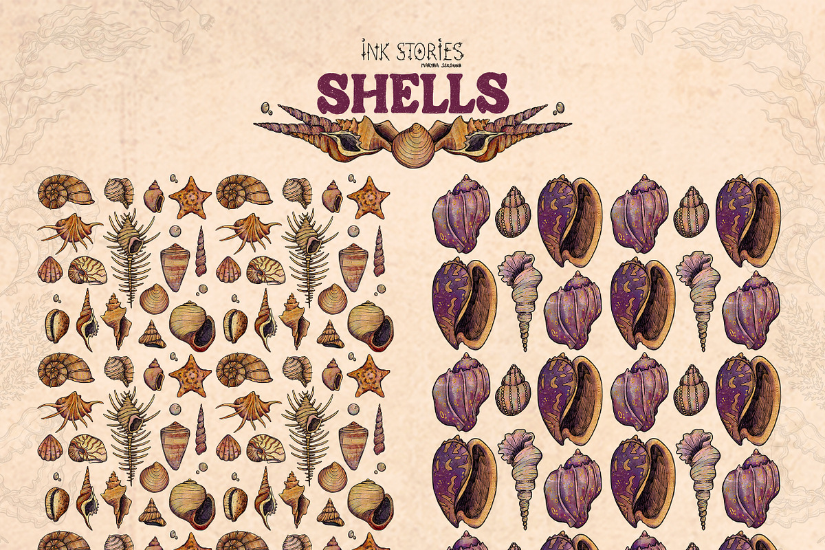 Shells, an Animal Illustration by Ink Stories (Photo 19 of 21)