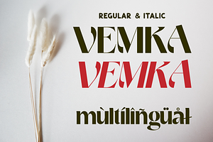 VEMKA - Modern Display Typeface