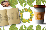Tropical fruits collection, a Decorative Illustration by TashaDraw (Thumbnail 2 of 10)