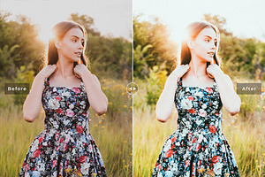 Sunny Day Pro Lightroom Presets