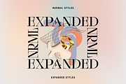 Rettisha Display, a Serif Font by Stripes Studio (Thumbnail 3 of 12)