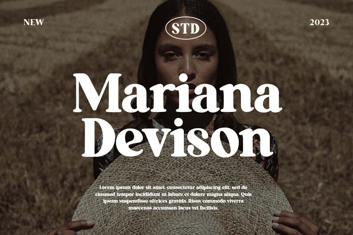 Lengthwise Beautiful Serif Font, a Serif Font by UICreative (Photo 5 of 13)