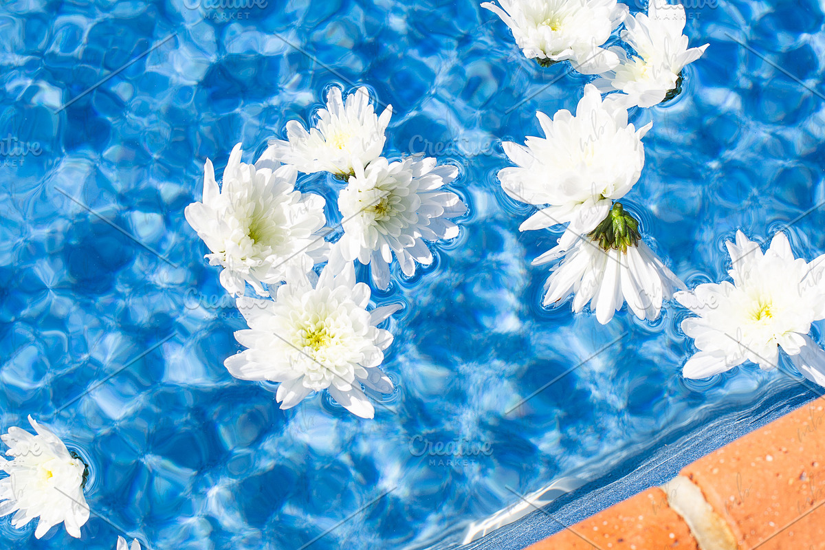 Bold Blues Stock Photo Bundle, a Business Photo by Savvy Stock Shop (Photo 13 of 15)