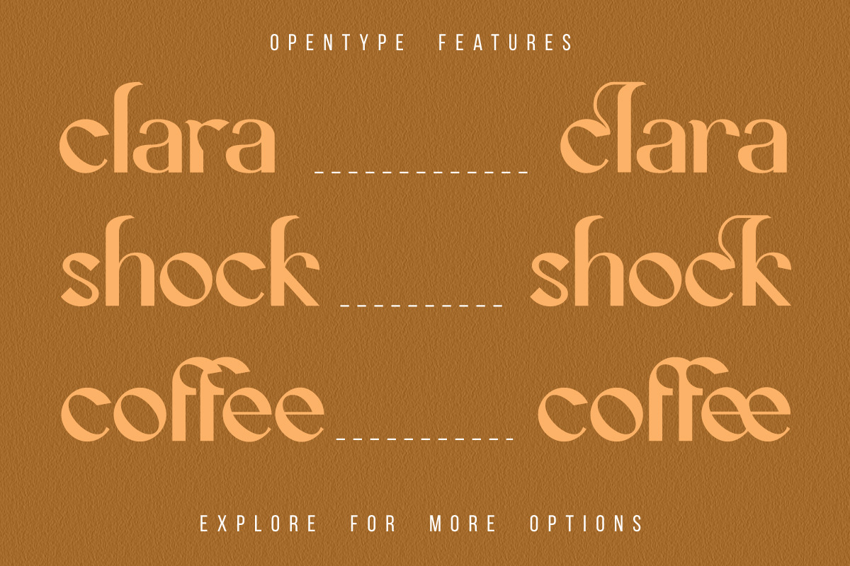 Cecision, a Serif Font by Wangsinawang Studio (Photo 3 of 11)