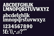 Sidequest: A Friendly Round Serif, a Font by Press & Pen (Thumbnail 7 of 7)