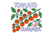 Tomato Girl Summer PNG, an Illustration by Canvas Craft (Thumbnail 1 of 6)