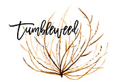 Natural Twigs & Tumbleweed Clip Art, a Graphic by DailyMiracleDigitals,LLC (Thumbnail 6 of 8)