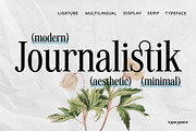 JOURNALISTIK | Multilingual Serif, a Serif Font by type peace (Thumbnail 1 of 13)