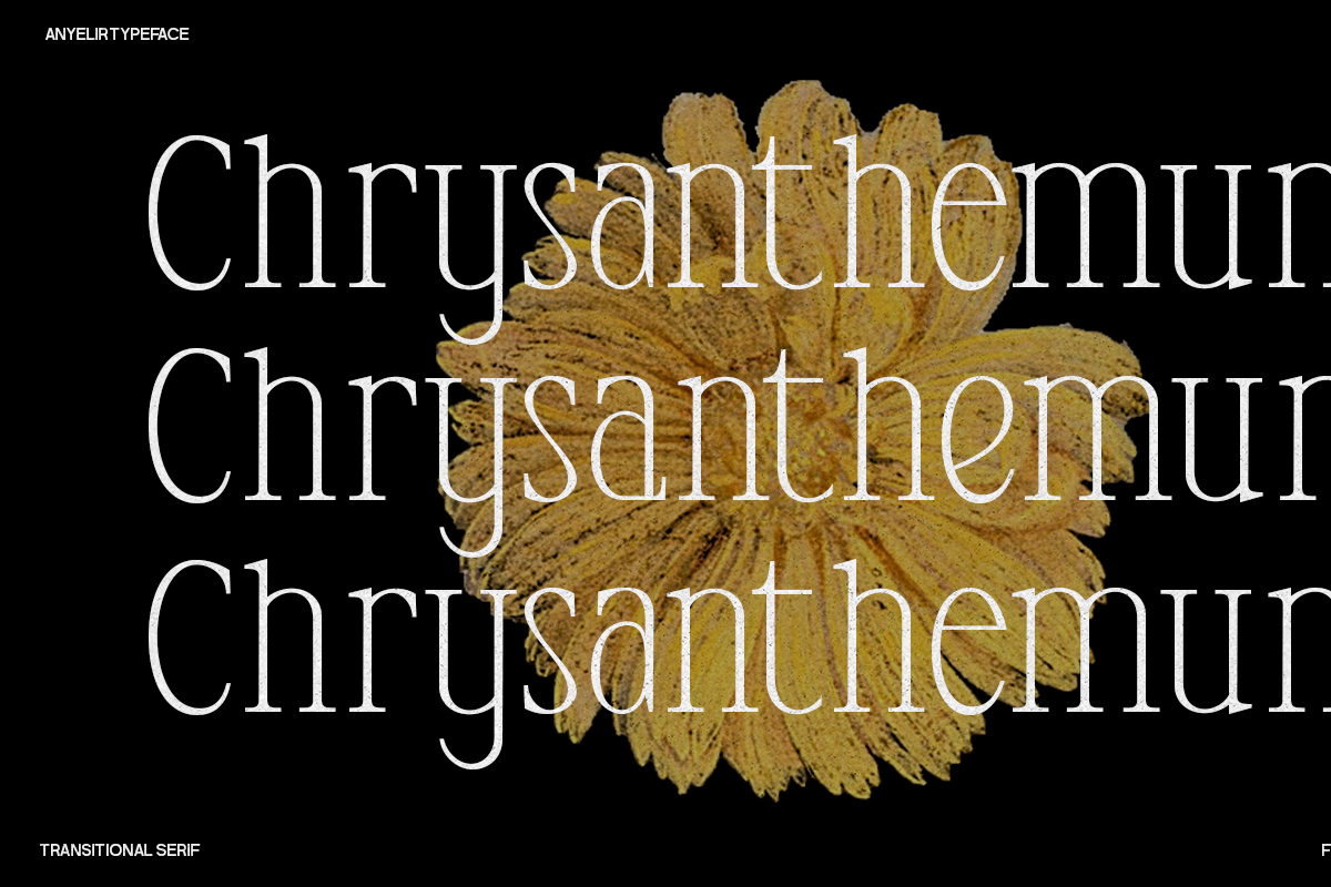 Anyelir Display - Condensed Serif, a Serif Font by Magnolitype (Photo 12 of 21)