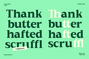 GC Milano – Strong Serif Elegance, a Serif Font by Glyphonic (Thumbnail 5 of 15)
